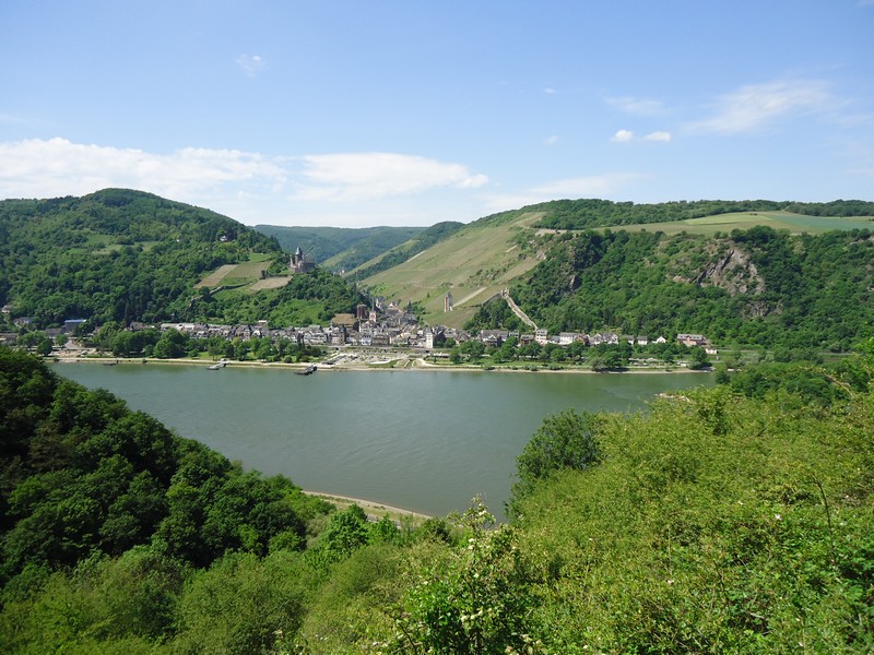 Rhein-Panorama