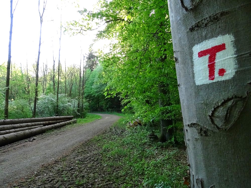 Wegezeichen Terra.track