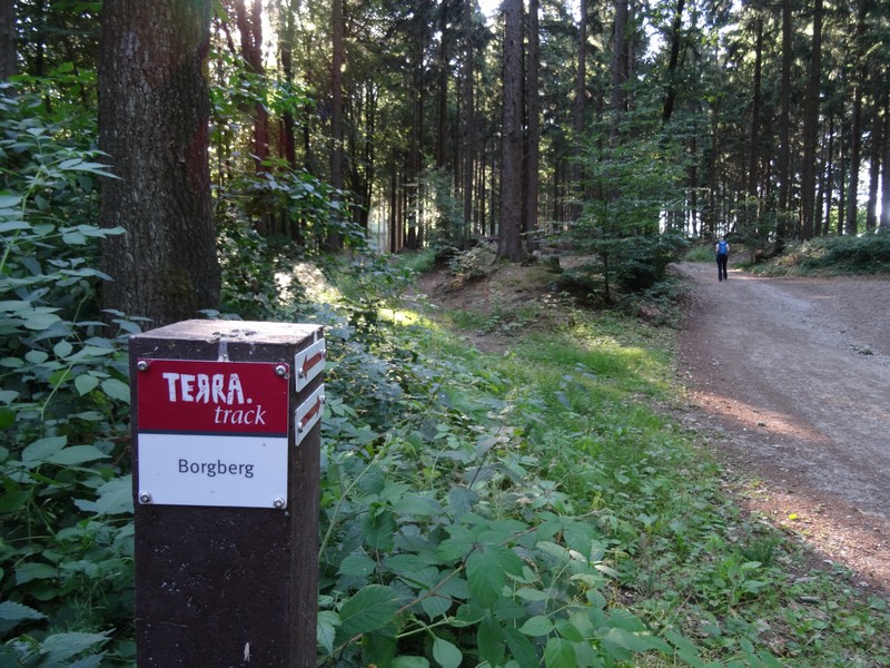 Die unverwechselbaren rotweißen Schilder weisen uns den Weg auf dem TERRA.track Borgberg.