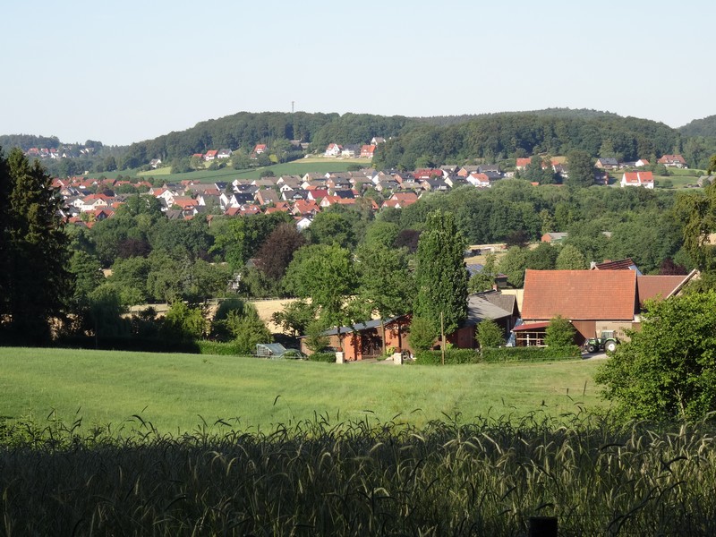 Ausblick auf Hagen vom TERRA.track Borgberg