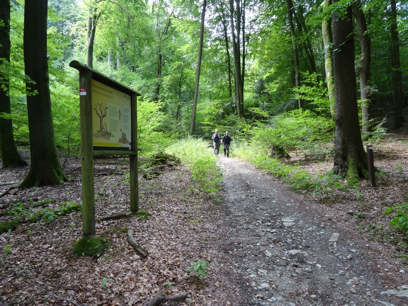 Mehrere Info-Tafeln am Wegesrand geben Auskunft über Flora und Fauna.