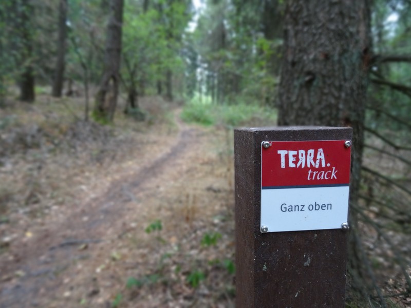 Ganz oben - der Name des TERRA.tracks in Georgsmarienhütte ist Programm. Wir wandern wirklich bis ganz nach oben!