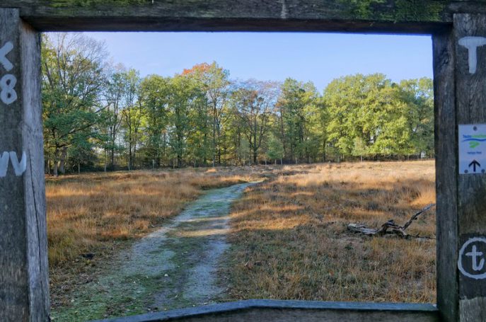 Sich windende Wege liegen nun vor uns.