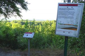 Weitere Info-Tafeln finden sich mitunter entlang der Tracks, wie hier auf dem Geologischen Lehrpfad auf dem Hüggel in Hasbergen.