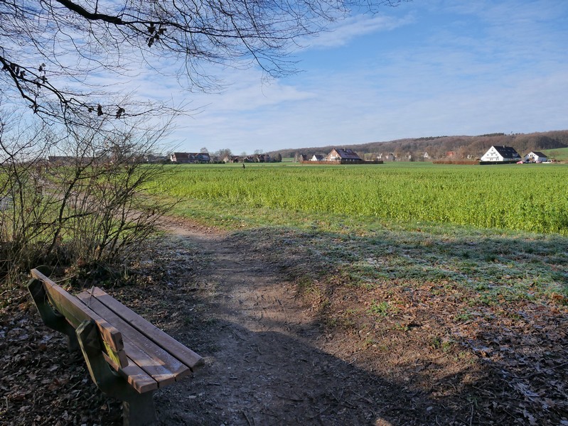 Ausblick vom Waldrand über ein Feld, im Hintergrund eine Siedlung
