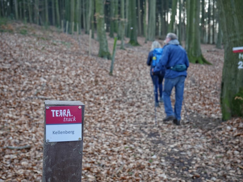 Die rot-weißen Markierungen des TERRA.track Kellenberg geleiten uns sicher. Rechts im Bild die rotweiße Markierung des Wittekindsweges.