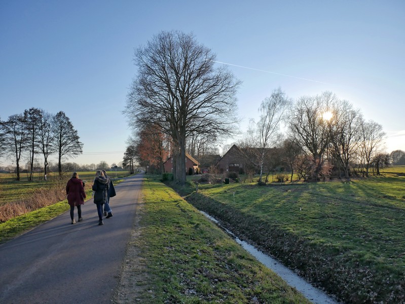 Kleine Straße mit drei Wanderern, im Hintergrund die Naturschutz-Station Dümmer-See