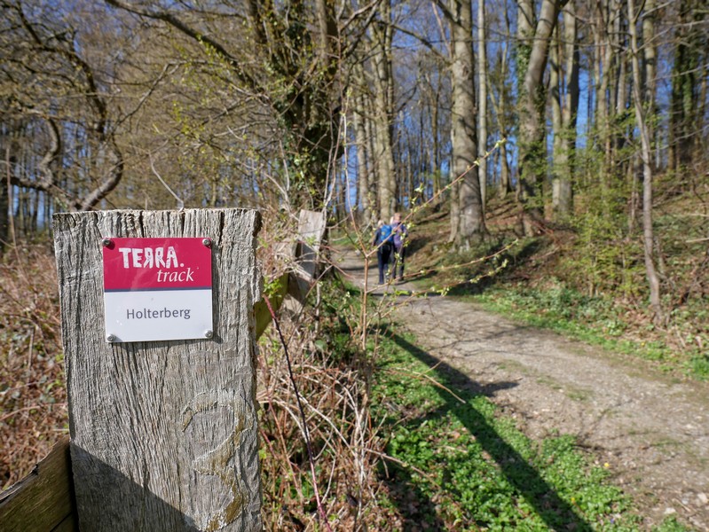 Im Vordergrund das Wegzeichen zum TERRA.track Holter Berg, daneben der Weg und verschwindend i Hintergrund zwei Wanderer