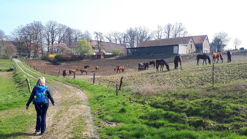 Das Bild zeigt Meike auf dem TERRA track Königsbrück. Rechts sind mehrere Pferde zu sehen, im Hintergrund ein Bauernhof.