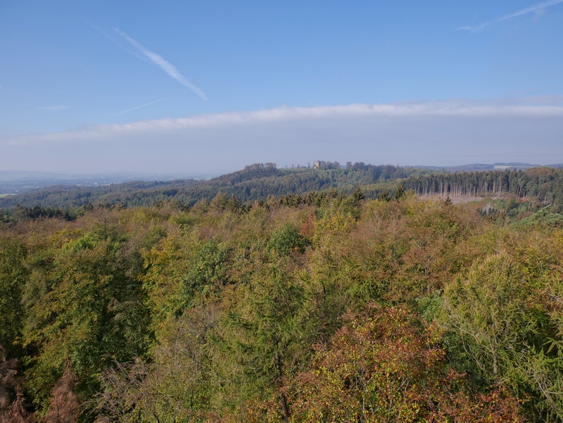 Das Bild zeigt den Ausblick vom Aussichtsurm Ottoshöhe auf dem TERRA.track Drei Türme. 