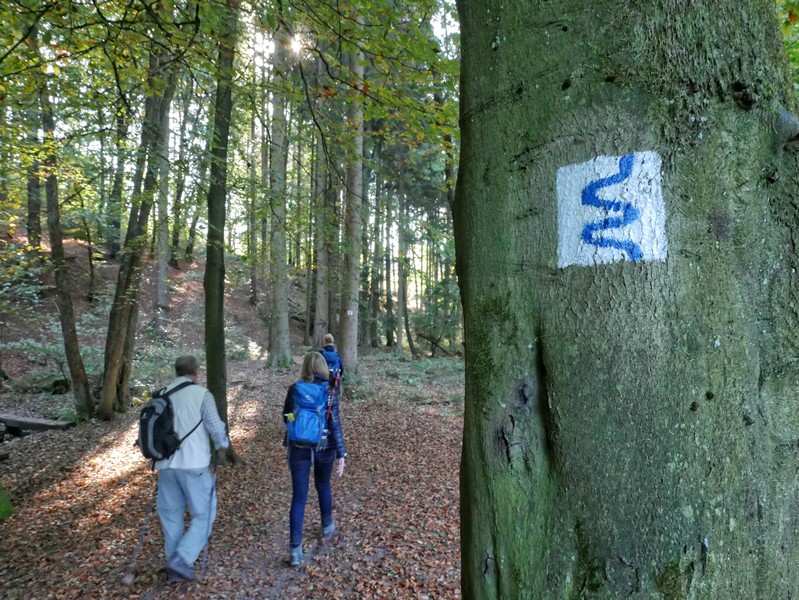 das Bild zeigt die Wegmarkierung auf dem TERRA.track Naturerlebnispfad Zwickenbachtal. 