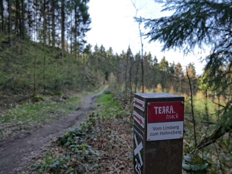 Wegmarkierung TERRA.track Vom Limberg zum Hohnsberg
