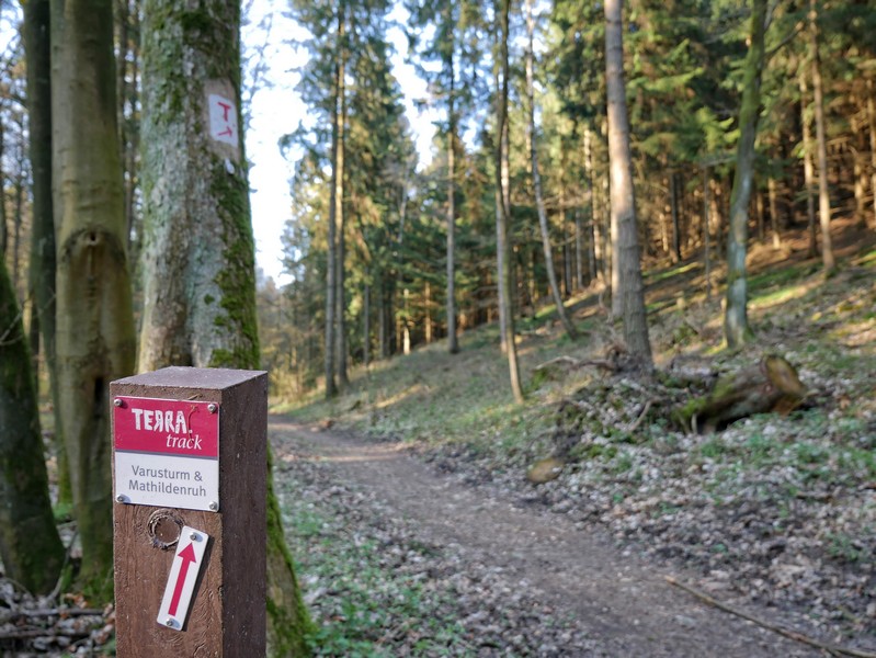 Das Bild zeigt einen schmalen Weg und im Vordergrund die Markierung für den TERRA.track Varusturm und Mathildenruh.
