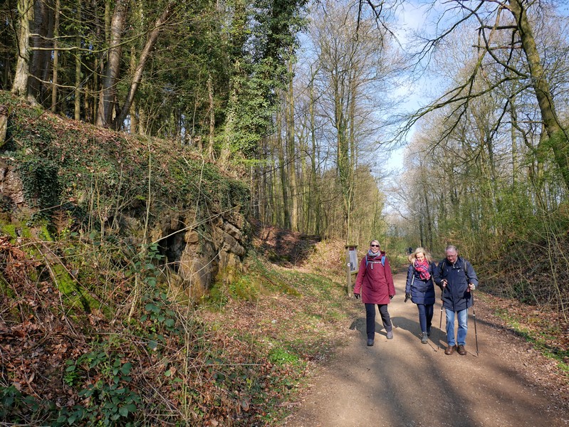Das Bild zeigt drei Wanderer auf dem TERRA.track Hüggelrundweg.