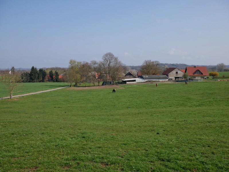 Das Bild zeigt den Ausblick vom TERRA.track Hüggelrundweg auf eine Weide, im Hintergrund ist ein Bauernhof zu sehen.