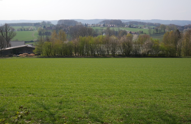 Das Bild zeigt den Ausblick vom TERRA.track Hüggelrundweg über Felder, bis nach Hagen und zum Teutoburger Wald.