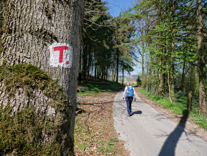 Das Bild zeigt die rotweiße Wegmakrkeirung des TERRA.tracks Borgloher Schweiz.