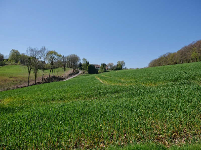 Das Bild zeigt grüne Hügel und im Hintergrund eine gewundene schmale Straße.