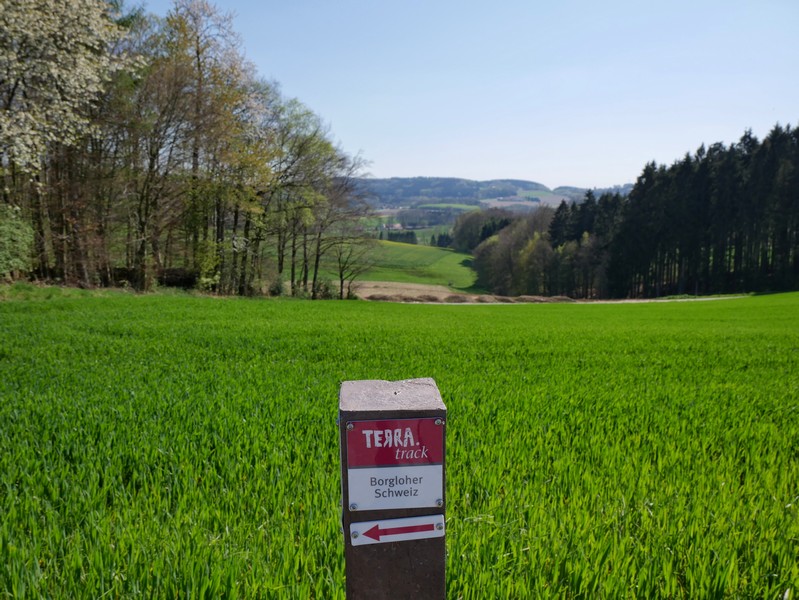 das Bild zeigt den Wegweiser des TERRA.tracks Borgloher Schweiz und dahinter eine Aussicht auf das hügelige Umland.