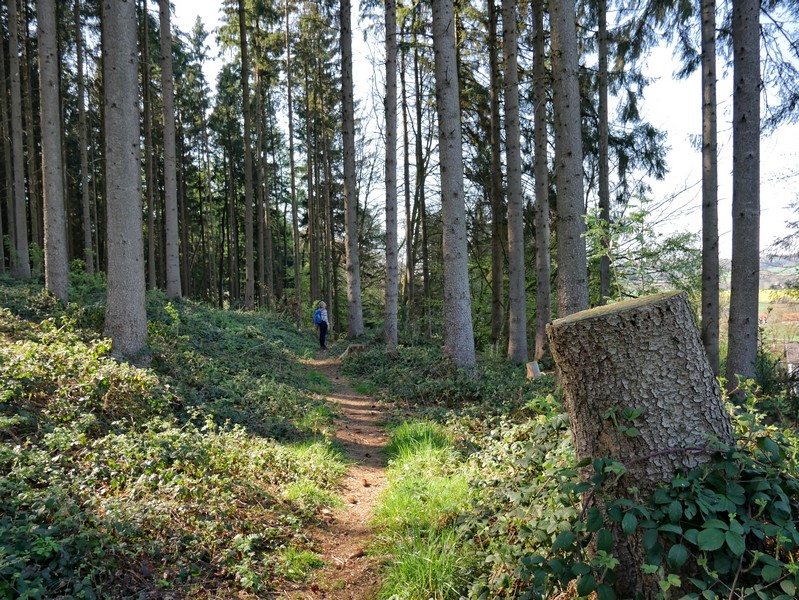 das Bild zeigt Meike auf einem schmalen Waldpfad.