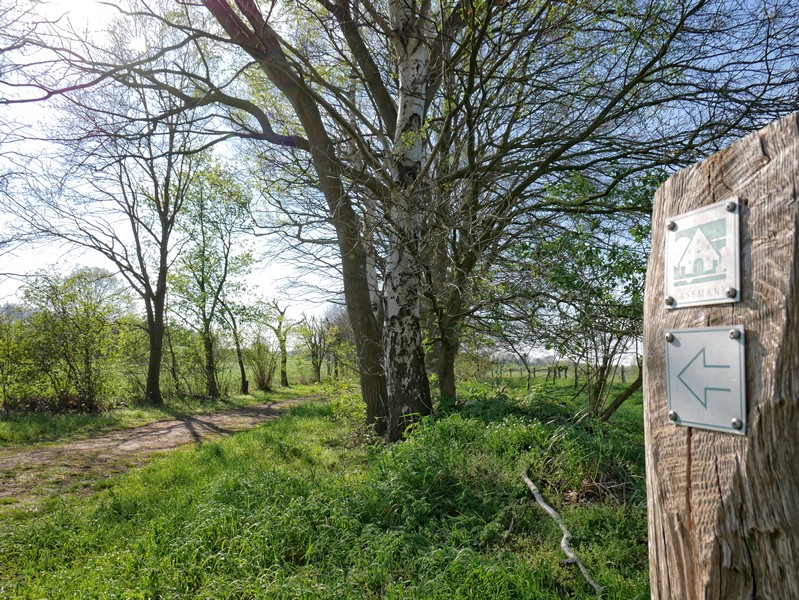 Das Bild zeigt einen der Wegweiser bei diesem Rundwanderweg durch das Grasmoor in Achmer.