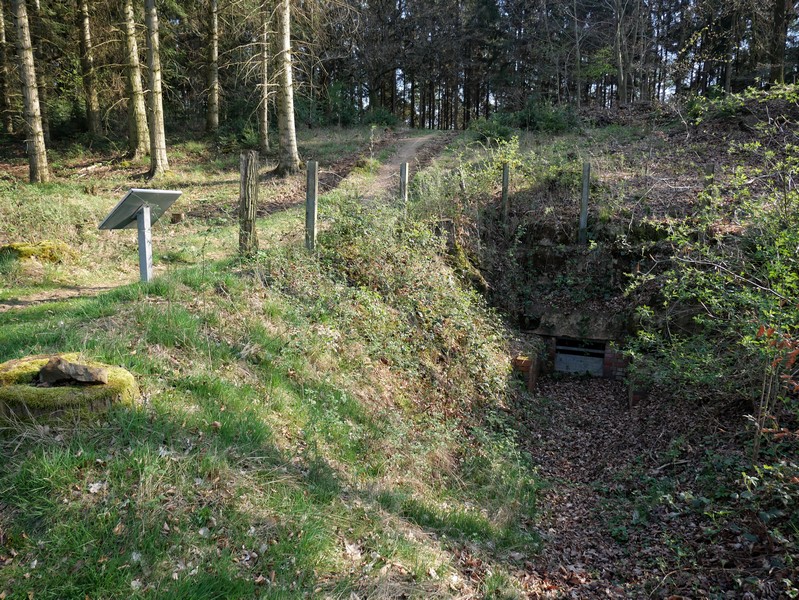 Das Bild zeigt links die Schautafel auf der Larberger Egge und rechts den Eingang des ehemaligen Bunkers.