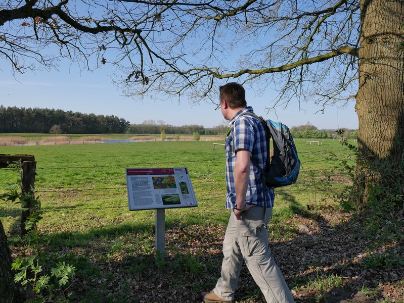 Das Bild zeigt den Wandervogel vor einer Info-Tafel. Im Hintergrund ist ein kleiner See inmitten einer grünen Weide zu sehen.