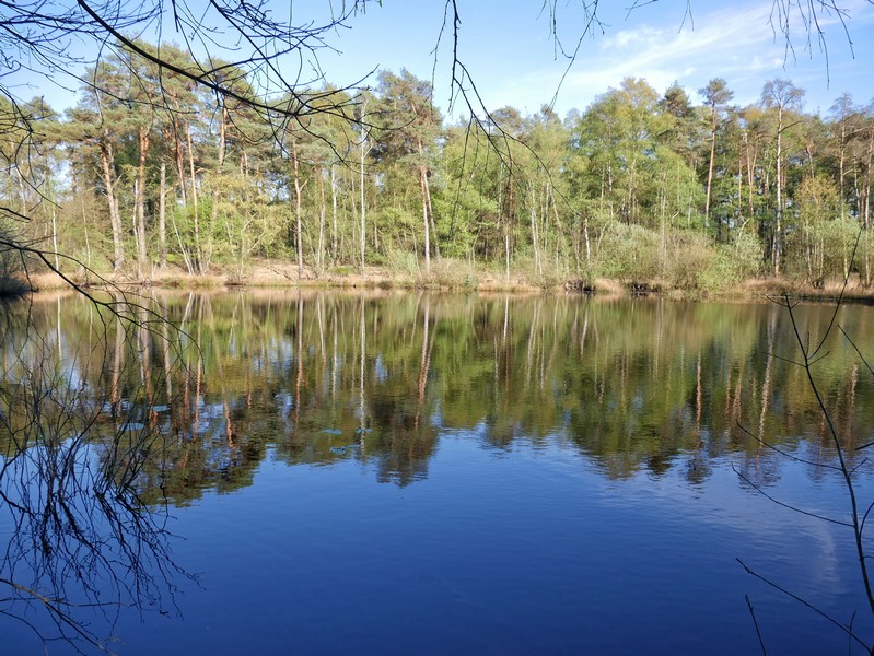 Das Bild zeigt einen kleinen See. Die Bäume spiegeln sich im Wasser wider.