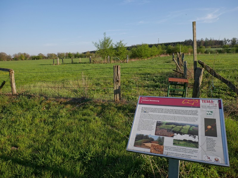 Das Bild zeigt eine der sieben Info-Tafeln auf dem TERRA.track Grasmoor in Achmer.