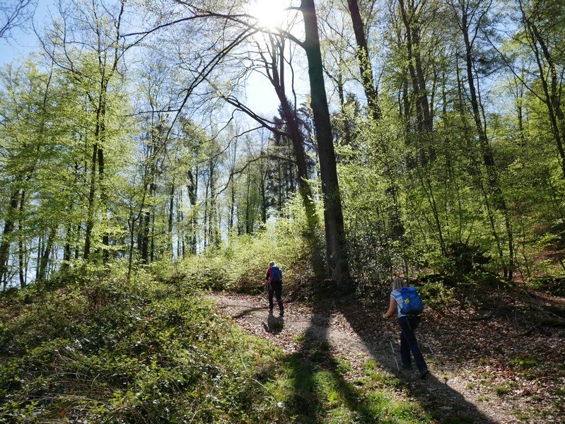 Das Bild zeigt Meike und Svenja auf dem DiVa Walk, der hier tiefer in den Wald führt.