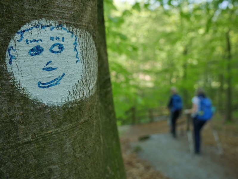 Das Bild zeigt ein lächelndes Gesicht, das auf einen der Bäume am Wegesrand gemalt ist.