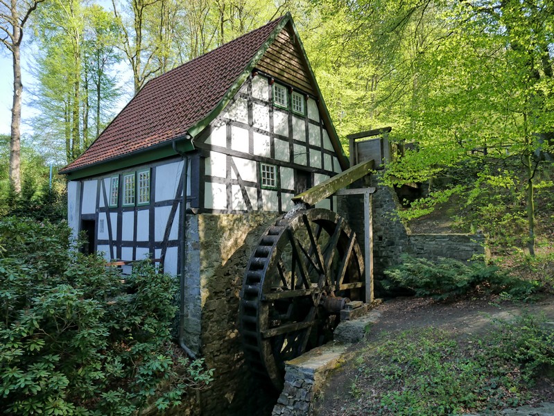Das Bild zeigt die Bad Essener Wassermühle.