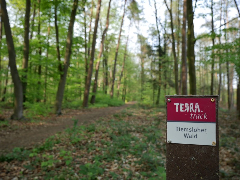 Das Bild zeigt die rotweiße Wegmarkierung auf dem TERRA.track Riemsloher Wald