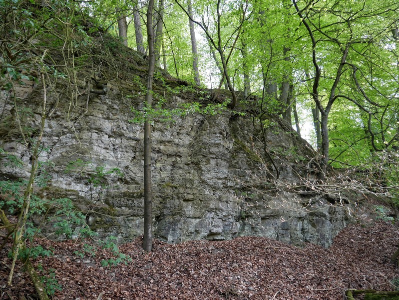 Das Bild zeigt die Wand aus Schilfsandstein.
