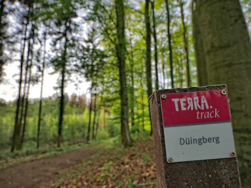 Das Bild zeigt eine Wegmarkierung auf dem TERRA.track Düingberg.