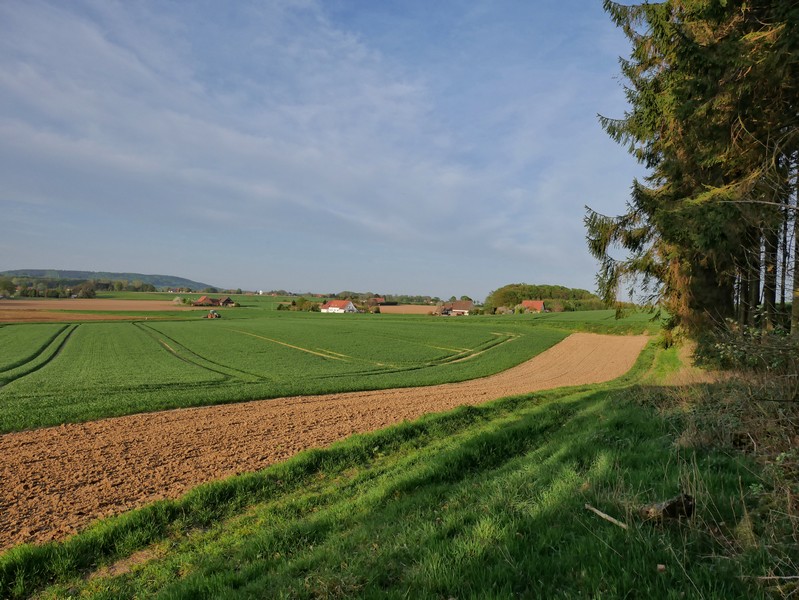 Das Bild zeigt weite Felder, die teils noch grün und teils frisch umgegraben sind. Der Himmel ist blau, im Hintergrund einige Häuser.