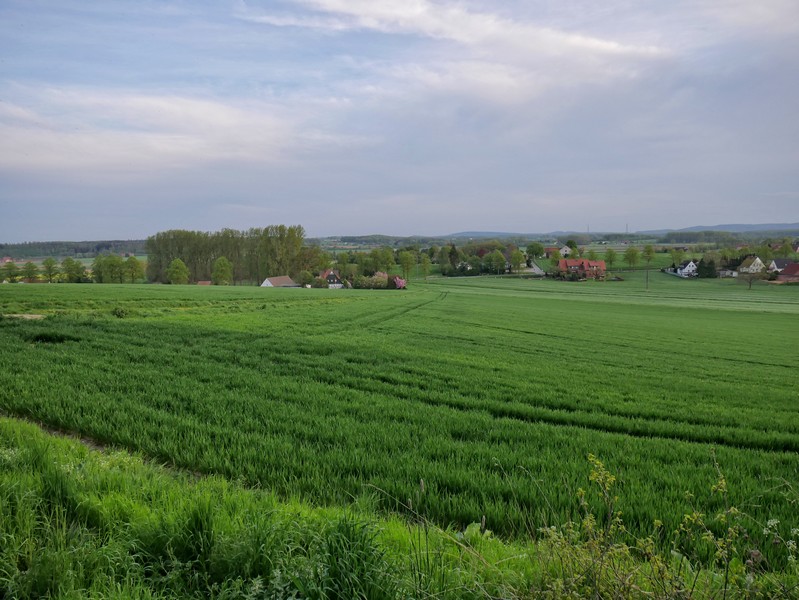 Das Bild zeigt weite grüne Felder und im Hintergrund vereinzelt Häuser.