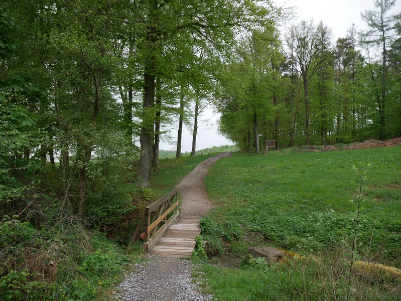 Das Bild zeigt die erste Brücke über den Zwickenbach, die wir auf dieser Wanderung antreffen.