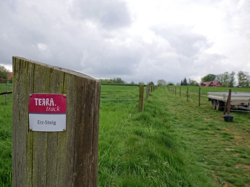 Das Bild zeigt im Vordergrund das Wegeschild TERRA.track Erzsteig und im Hintergrund den Weg, der zwischen grünen Weiden verläuft.
