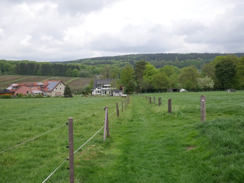 Das Bild zeigt den Weg, der weiter zwischen grünen Wiesen verläuft. Im Hintergrund sind Bäume und einzelne Häuser zu sehen.