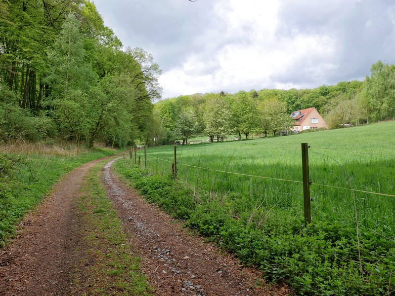 Das Bild zeigt einen breiten Forstweg. Links sind Bäume zu sehen, rechts eine Weide und im Hintergrund ein einzelnes Haus.