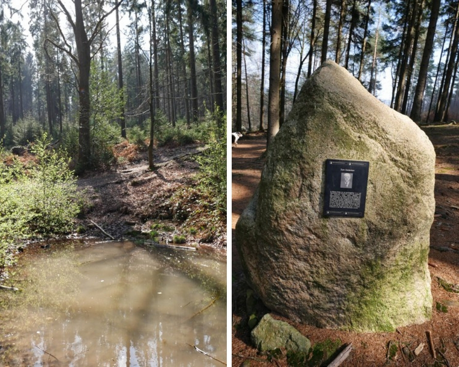 Zwei Bilder: Links der kleine Teich im Sonnenlicht, rechts der Bödigestein mit einem Foto von Dr. Nikolaus Bödige nebst Inschrift.