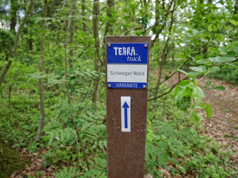 Das Bild zeigt die blauweiße Wegmarkierung der Varianta des TERRA.tracks Schweger Wald.