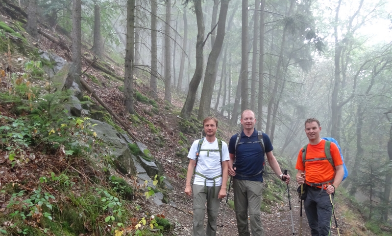 Das Bild zeigt drei Wanderer im diesigen Bingener Wald.