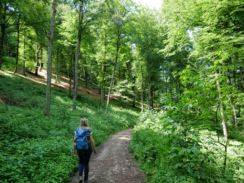 Das Bild zeigt Meike auf dem Bergmannsweg Kirchdornberg, der hier als schmalerer Pfad durch den Wald verläuft.