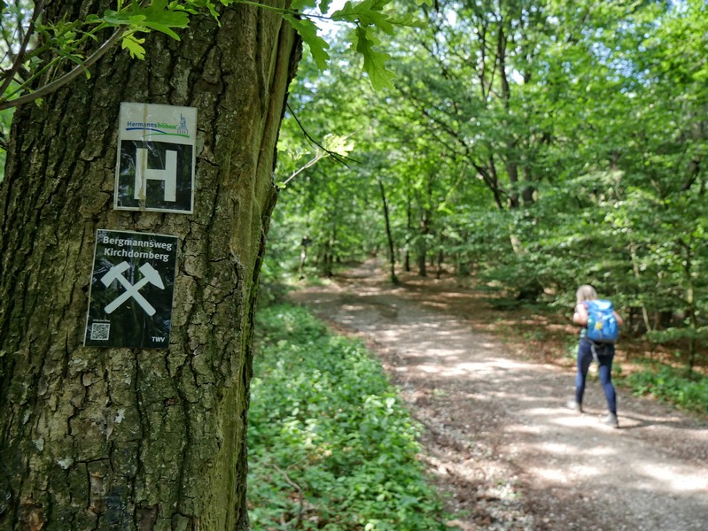 Das Bild zeigt das Schild des Hermannsweges und das Schild vom Bergmannsweg Kirchdornberg.