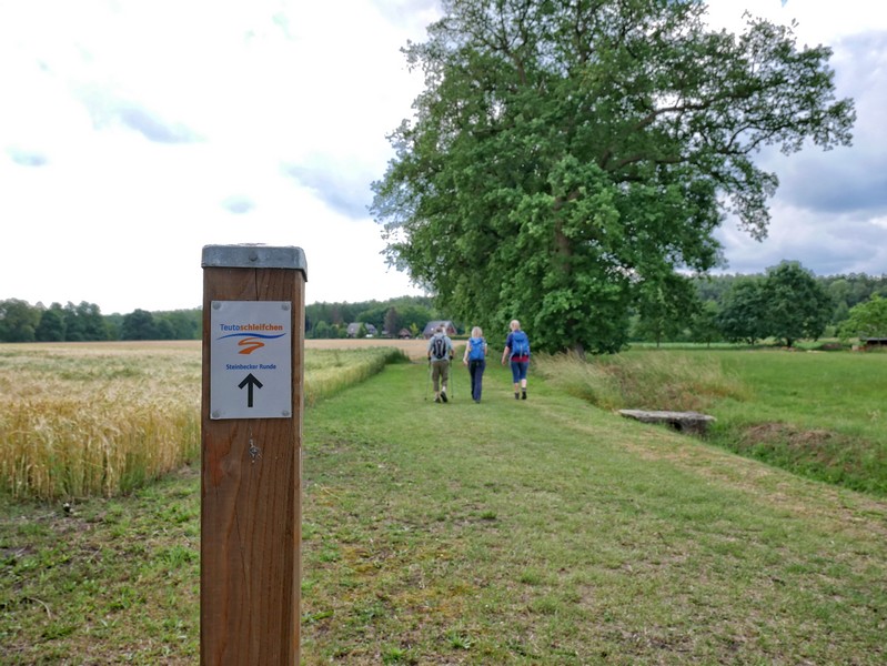 Das Bild zeigt im Vordergrund das Schild des Teutoschleifchens Steinbecker Runde und im Hintergrund drei Wanderer auf einem Wiesenweg.