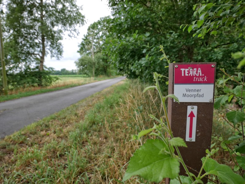 Das Bild zeigt einer der Wegweiser auf dem TERRA.track Venner Moorpfad .