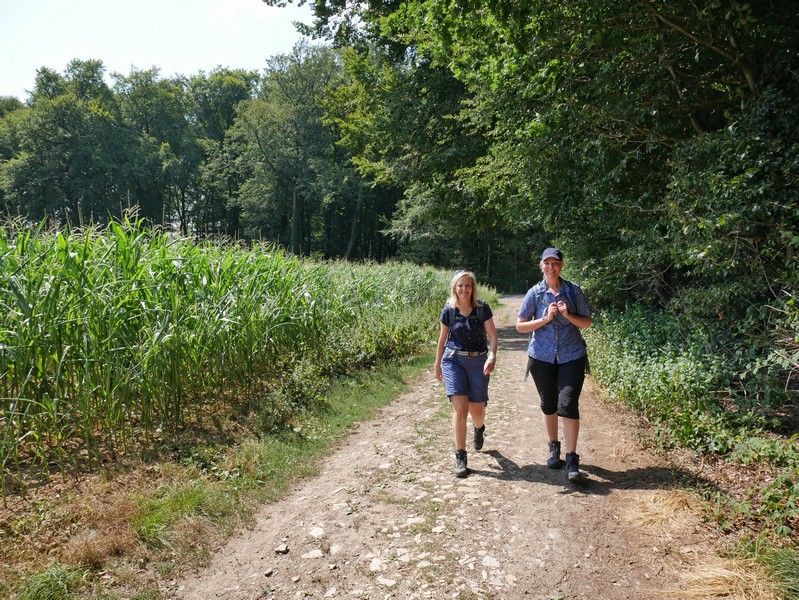 Das Bild zeigt zwei Wanderer auf dem TERRA.track Hollager Berg neben einem Maisfeld.