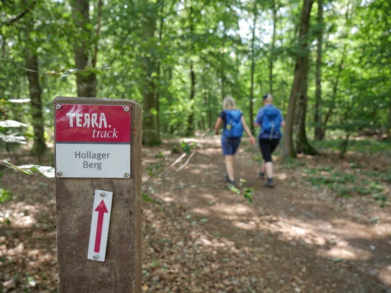 Das Bild zeigt die rotweiße Markierung auf dem TERRA.track Hollager Berg.